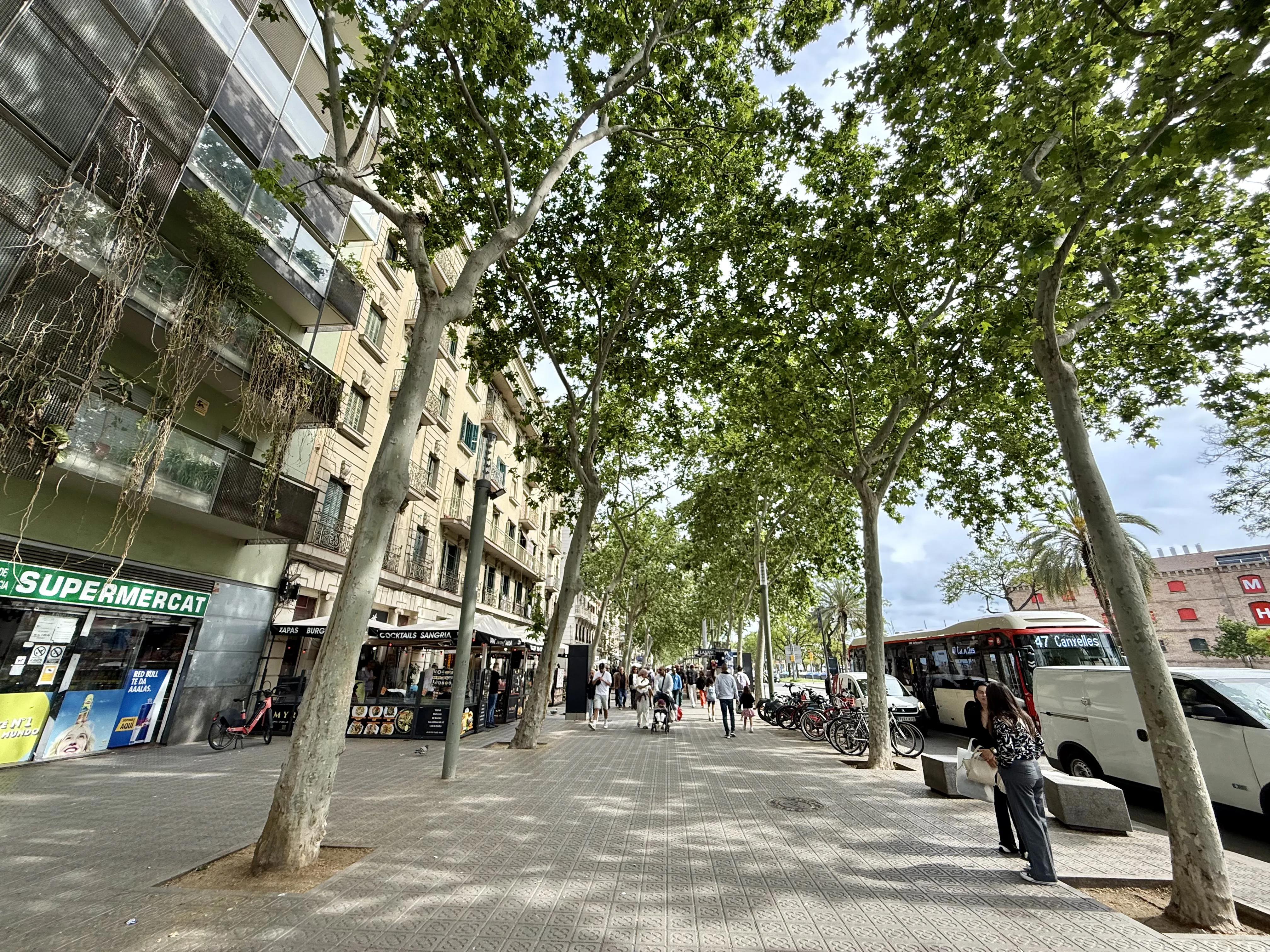 Carrer de Joan de Borbó, the tree-lined entrance to Barceloneta with restaurants and passersby, Barcelona