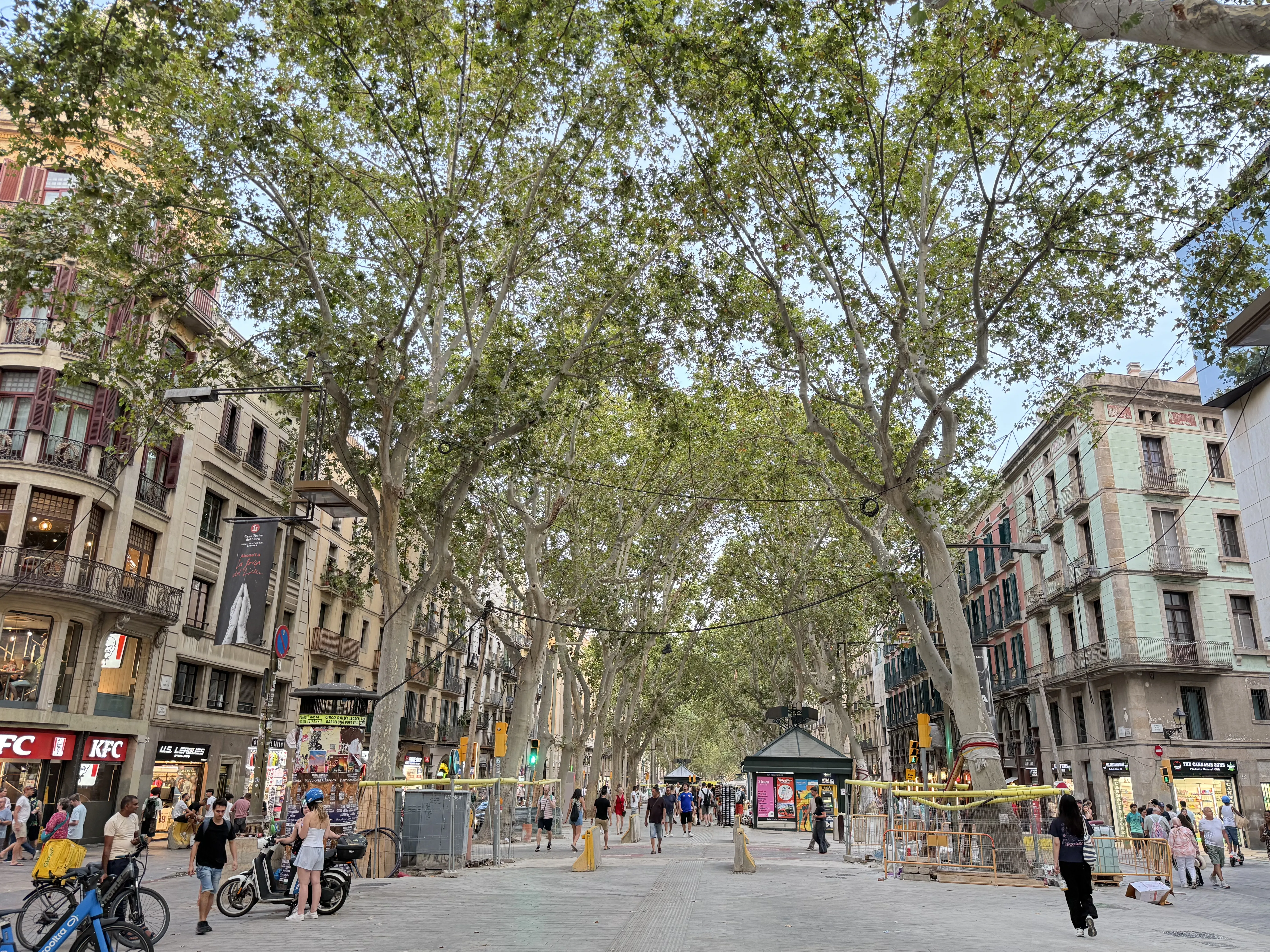 La Rambla in Barcelona, tree-lined and busy with pedestrians